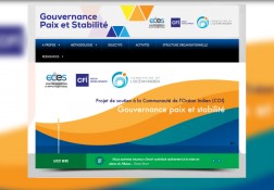 The Governance Peace and Stability  project website is online